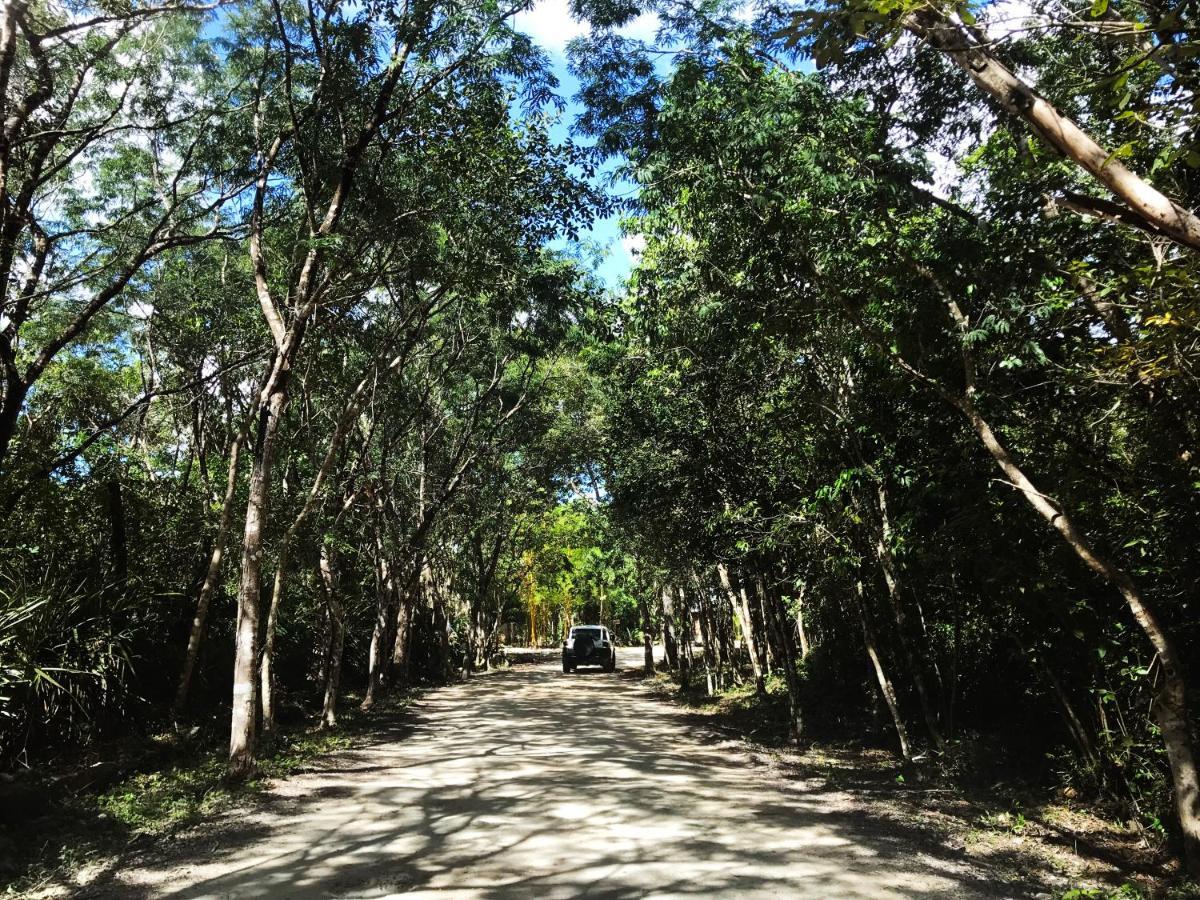 Hotel Portal Xibalba Playa del Carmen Zewnętrze zdjęcie